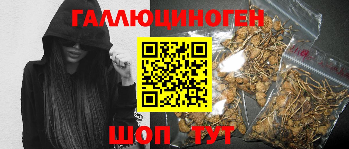 Псилоцибиновые грибы Psilocybe Сухой Лог
