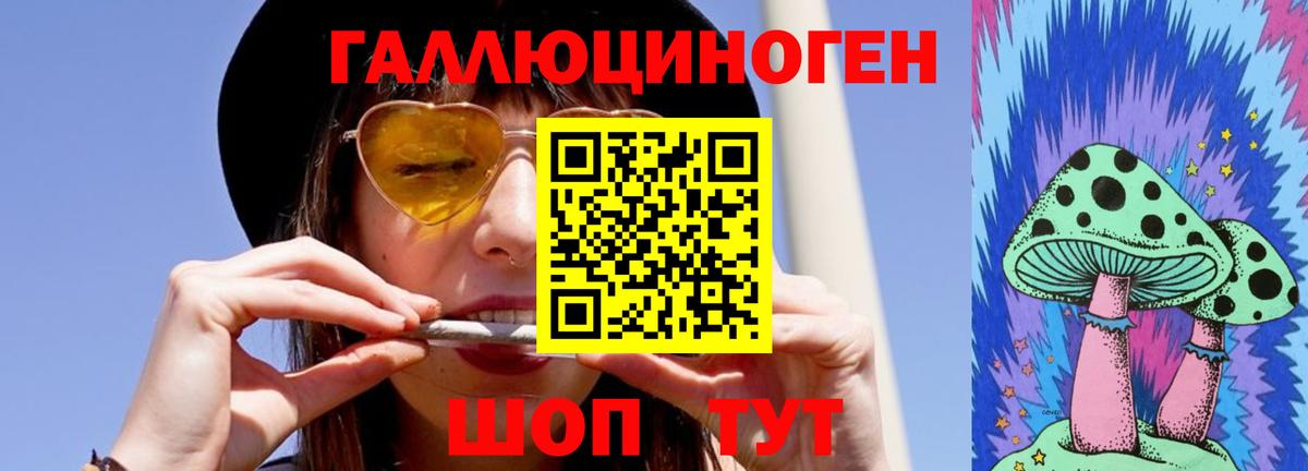 Псилоцибиновые грибы GOLDEN TEACHER  Вход с VPN  Сухой Лог 